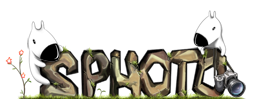 2photo 2photo