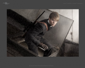 jan scholz, website