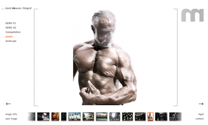 davidmaurerwebsite