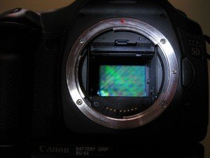 IMG_2231