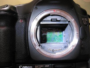 IMG_2234