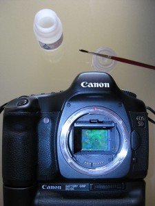 IMG_2235