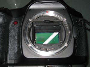 IMG_2253