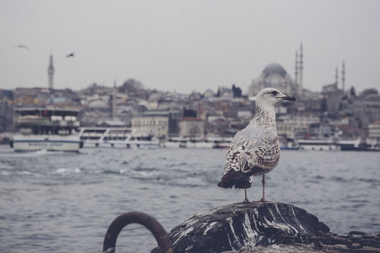 reisefotografie-istanbul-mamophoto-157