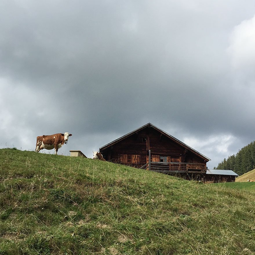 gstaad alp social 2014 by mamo photography interlaken hotelfotograf corporate mamophoto