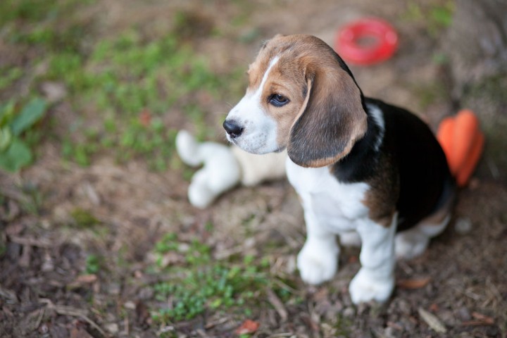 Fotograf-Bern-Thun-Interlaken-MAMO-Photography-Schweiz