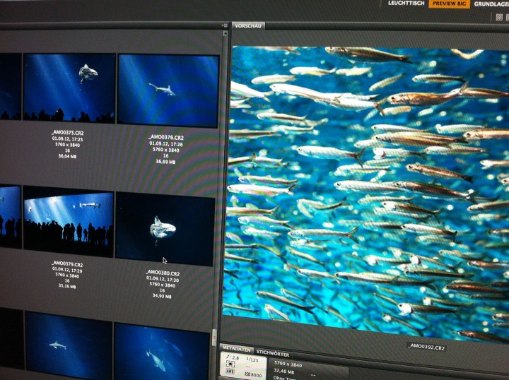 MAMO Photography - Fotograf Interlaken - Interior, Hotel & Resorts, Corporate, People