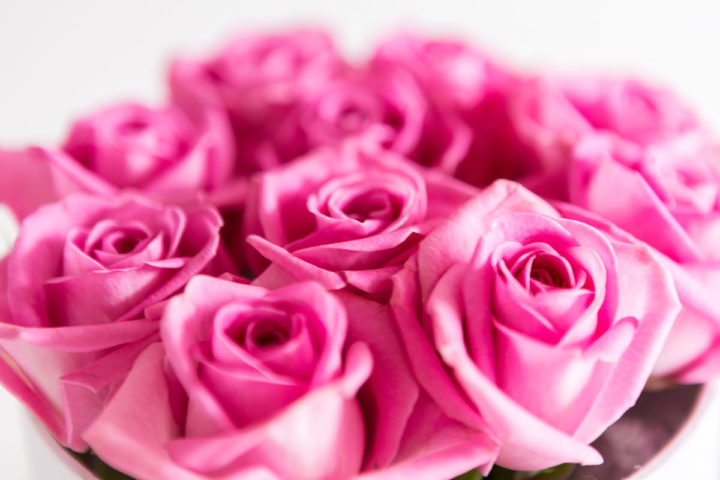 rosenbox, boxofroses, boxofflowers, mamo photography