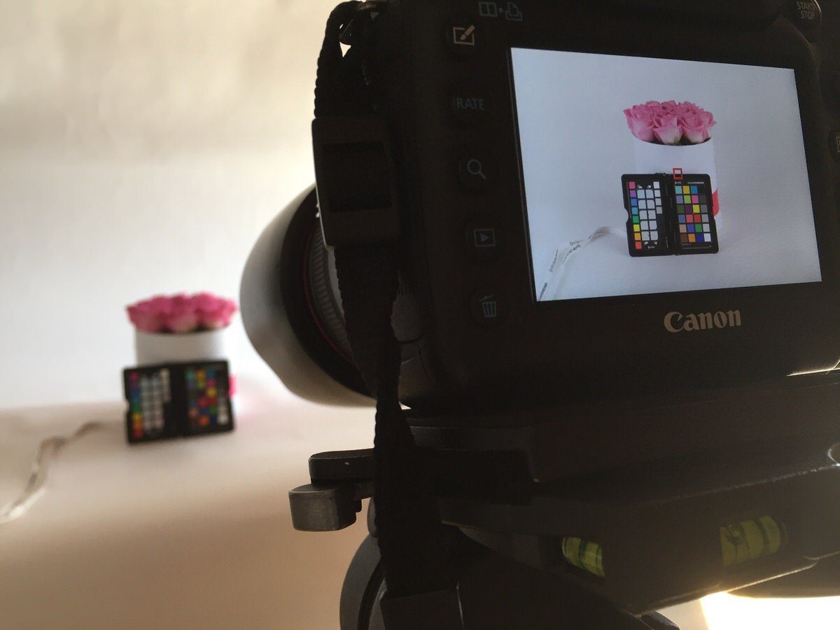 rosenbox, boxofroses, boxofflowers, mamo photography