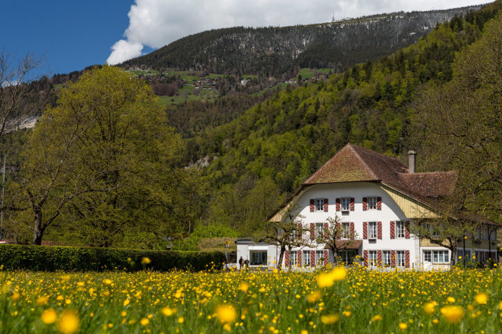 Hotel Neuhaus, Interlaken, Unterseen, Hotelfotografie, mamo photography, hotelfotos, hotelfotograf