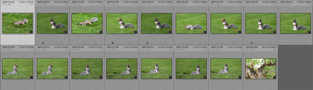 excire search review mamo photography interlaken