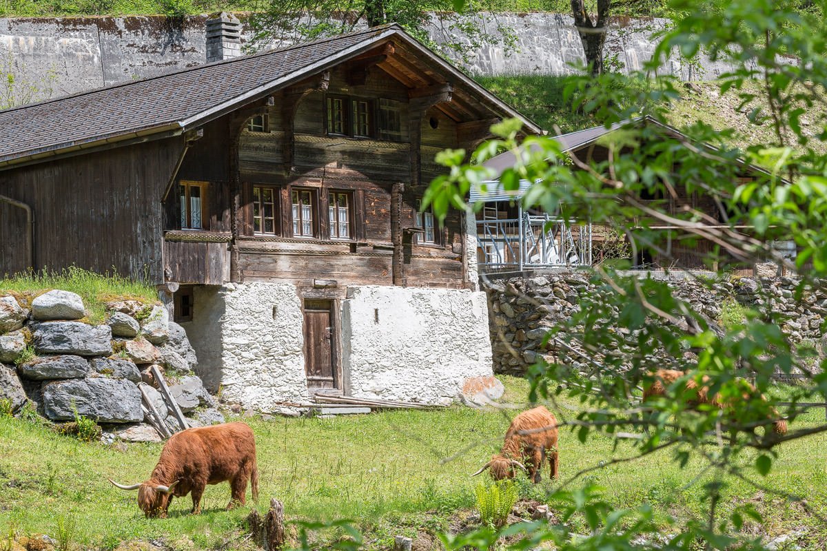 Hotel und Restaurant Urweid im Haslital Schweiz Hotelfotograf mamo photography innenarchitektur