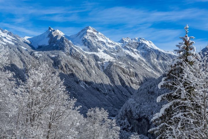 fotograf interlaken mamo photography hotelfotograf hotelfotografie resortfotografie kulinarische fotos