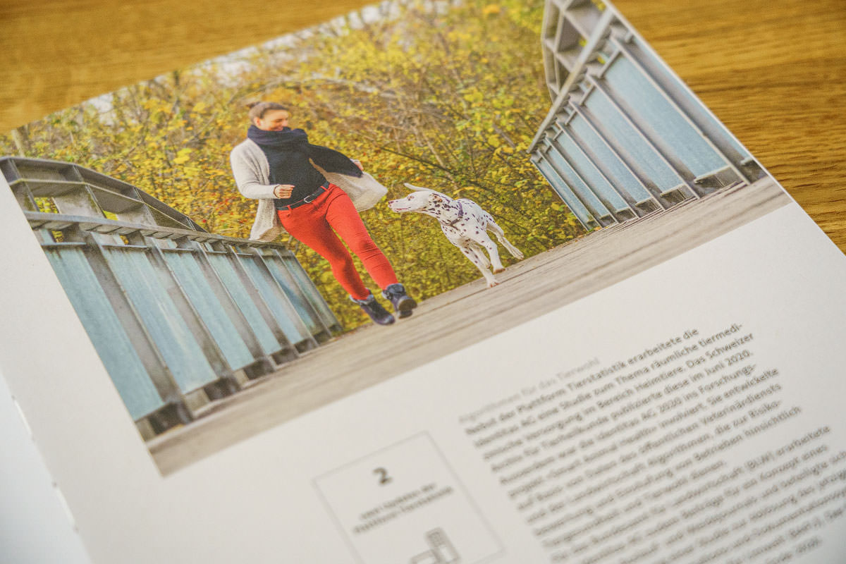 Fotograf Interlaken Bern Thun Geschaeftsbericht Fotografie Identitas Lifestylefotos Werbefotografie Tierfotos Portraitfotografie Werbefotografie