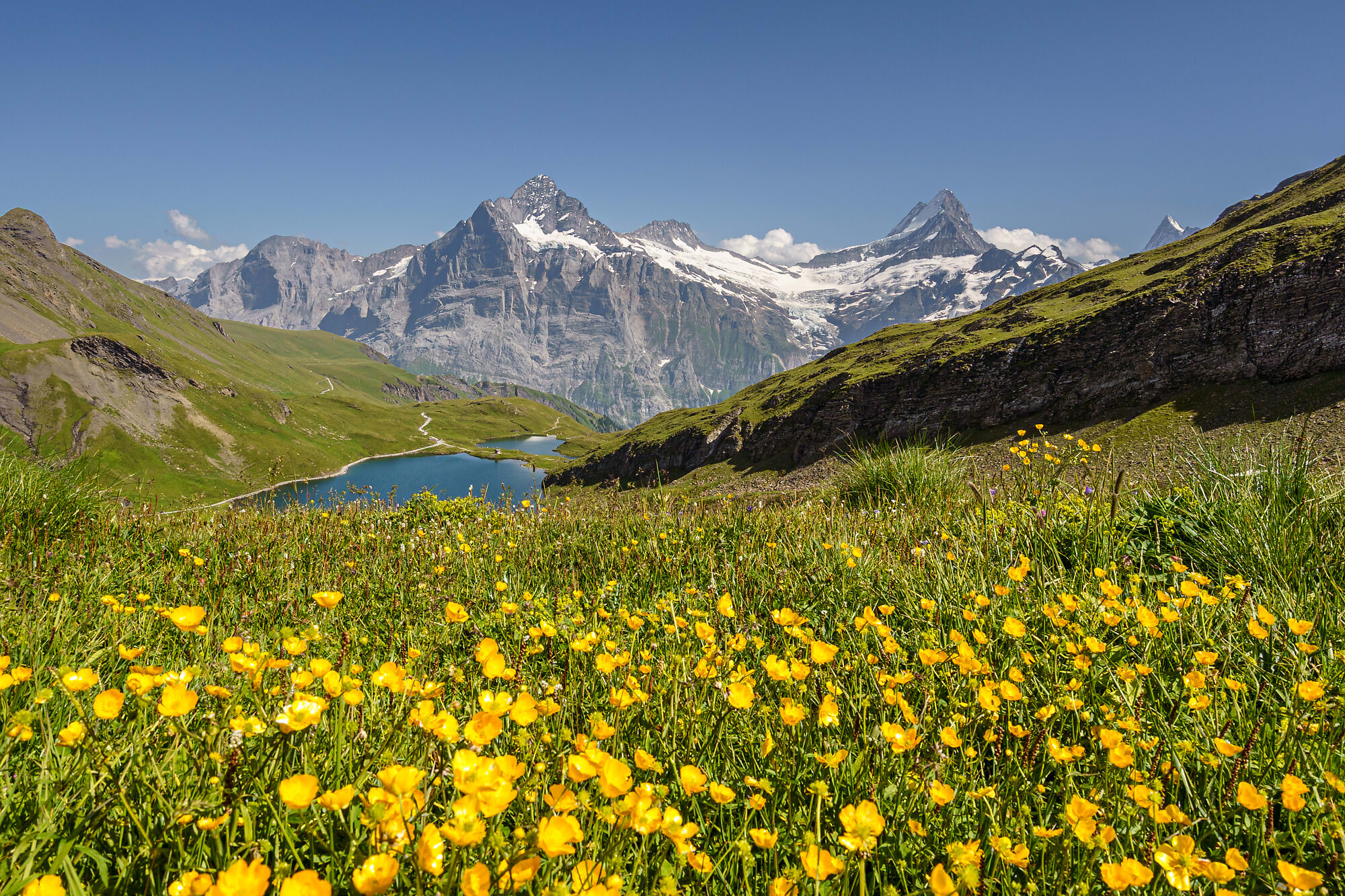 Fotograf Interlaken Thun Bern Landschaftsfotos Tourismusfotos Wanderfotos Landschaften Berner Oberland Schweiz Sommer Winter Herbst Berufsfotograf