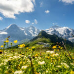 Fotograf Interlaken Thun Bern Landschaftsfotos Tourismusfotos Wanderfotos Landschaften Berner Oberland Schweiz Sommer Winter Herbst Berufsfotograf