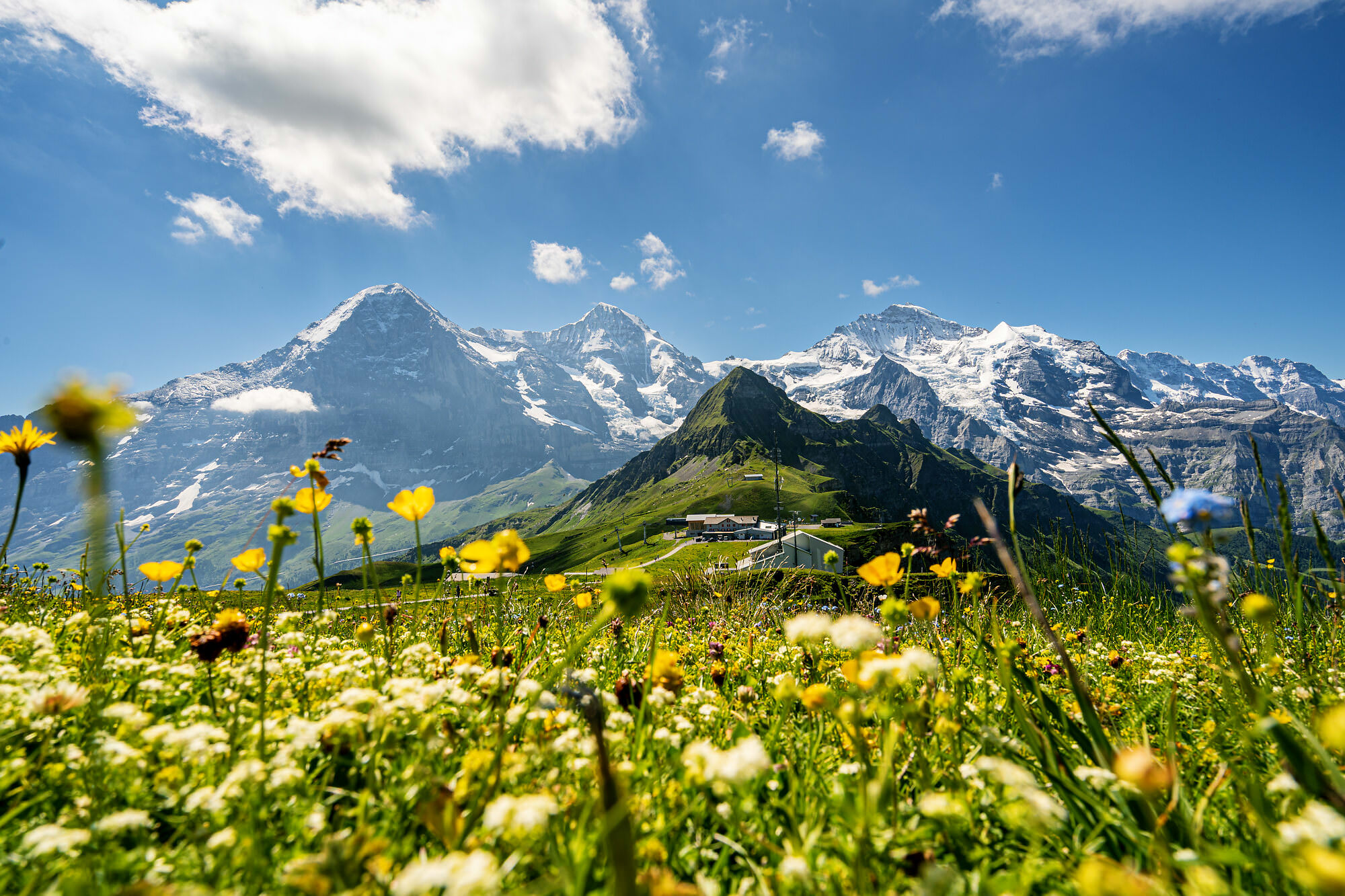 Fotograf Interlaken Thun Bern Landschaftsfotos Tourismusfotos Wanderfotos Landschaften Berner Oberland Schweiz Sommer Winter Herbst Berufsfotograf