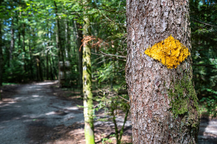 berner wanderwege mamo photography landschaftsfotos bern thun interlaken lifestyle 008