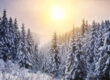 winterwonderland mamo photography interlaken schweiz