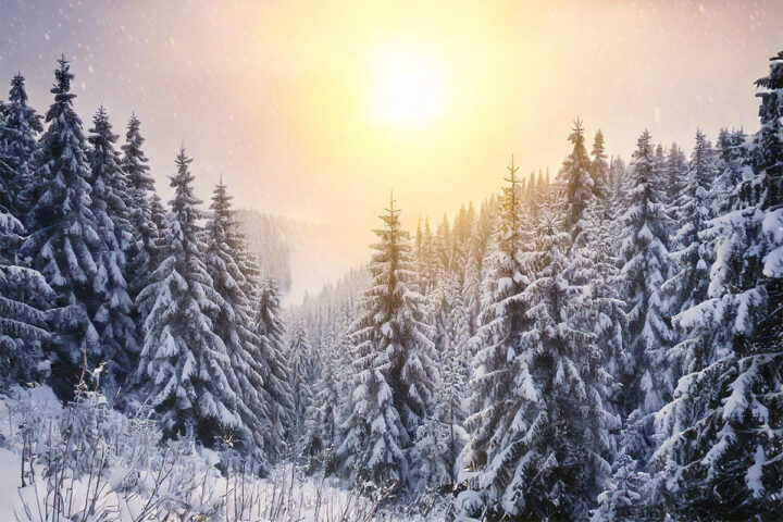 winterwonderland mamo photography interlaken schweiz