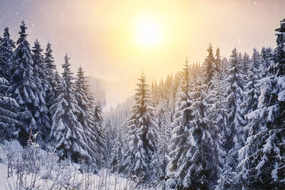 winterwonderland mamo photography interlaken schweiz winterwonderland mamo photography interlaken schweiz